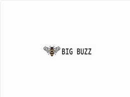 https://big-buzz.co.uk/ website