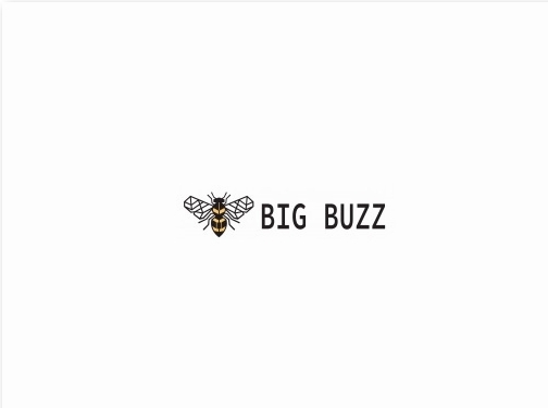 https://big-buzz.co.uk/ website