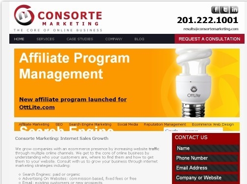 https://www.consortemarketing.com/ website